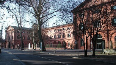 Modena ve Reggio Emilia Üniversitesi